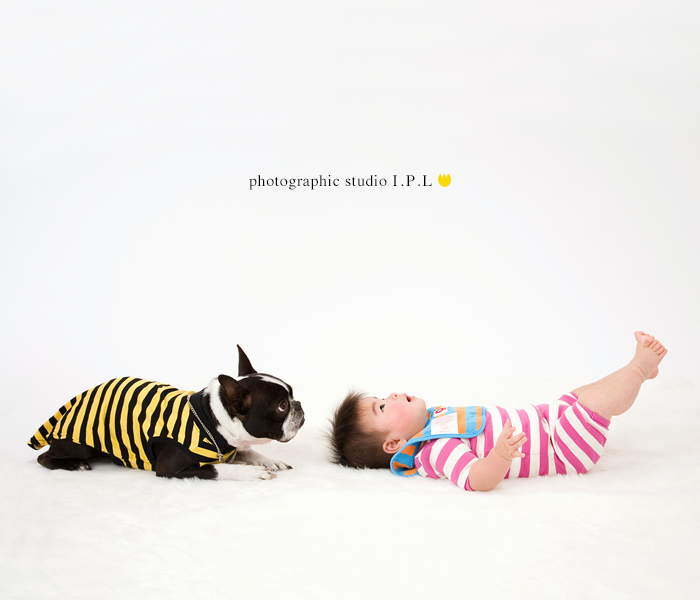 赤ちゃんと犬の写真